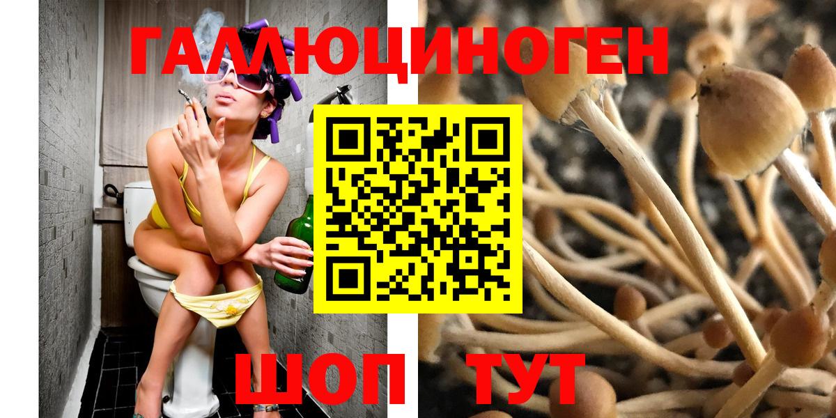 Псилоцибиновые грибы GOLDEN TEACHER Скопин
