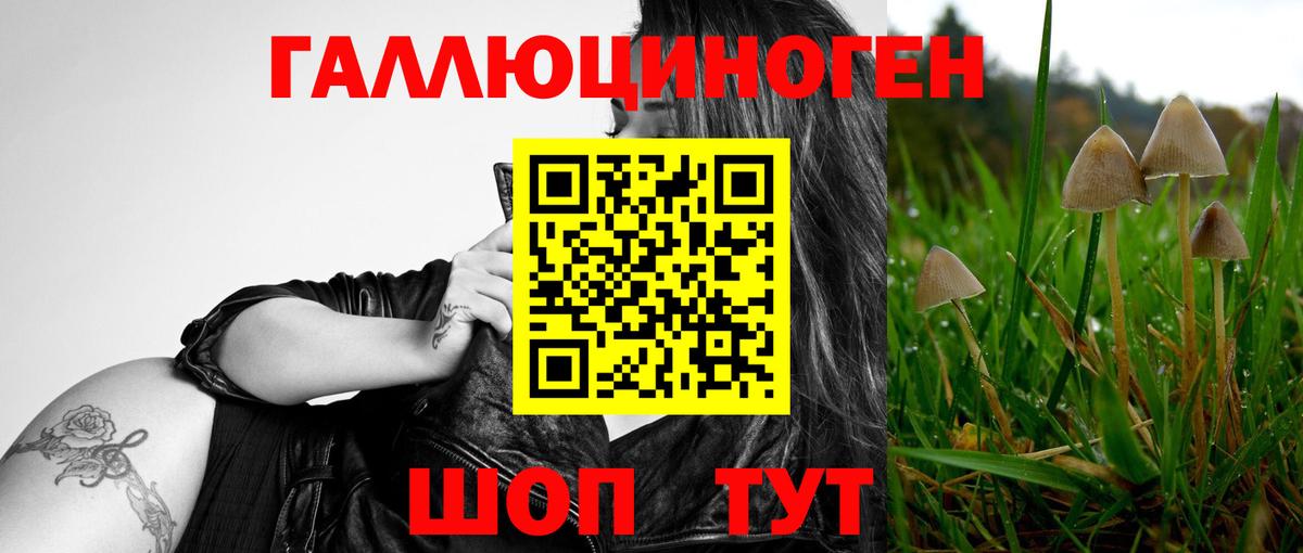 Галлюциногенные грибы Psilocybe  Вход с VPN  Скопин  Псилоцибиновые грибы мухоморы 